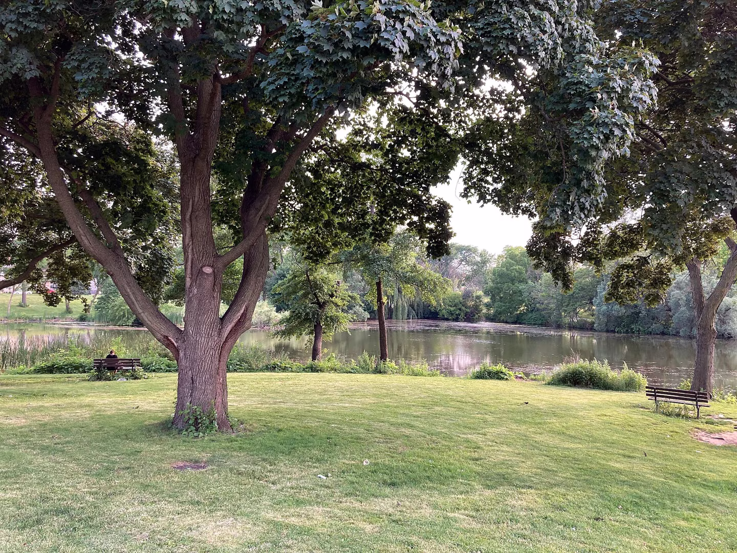 Pond at Mitchell Park, Milwaukee.